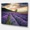 Designart - Sunrise & Dramatic Clouds Over Lavender Field VII - Farmhouse Canvas Wall Art Print